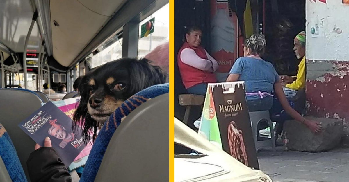 13 fotografií, pri ktorých je uhol kľúčový