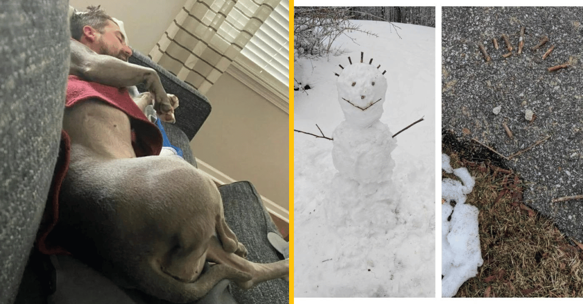 12 fotografií, ktoré dokazujú, že život je len zhluk náhodných situácií