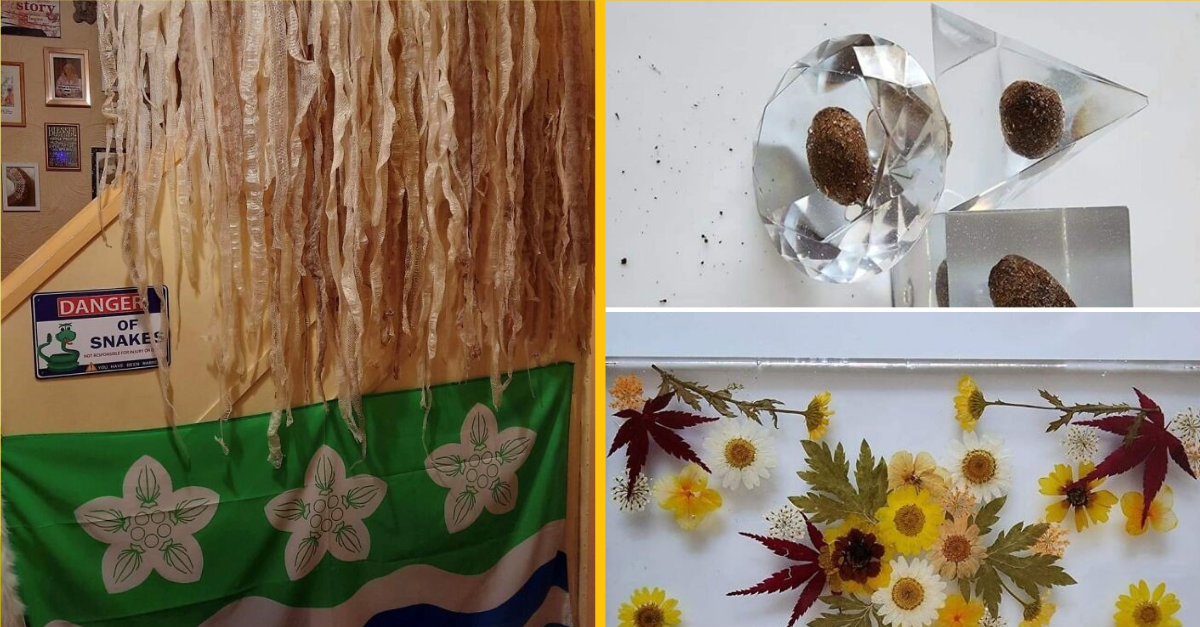 Fotografie vtipných DIY zlyhaní, ktoré sa ľudia rozhodli zdieľať na internete