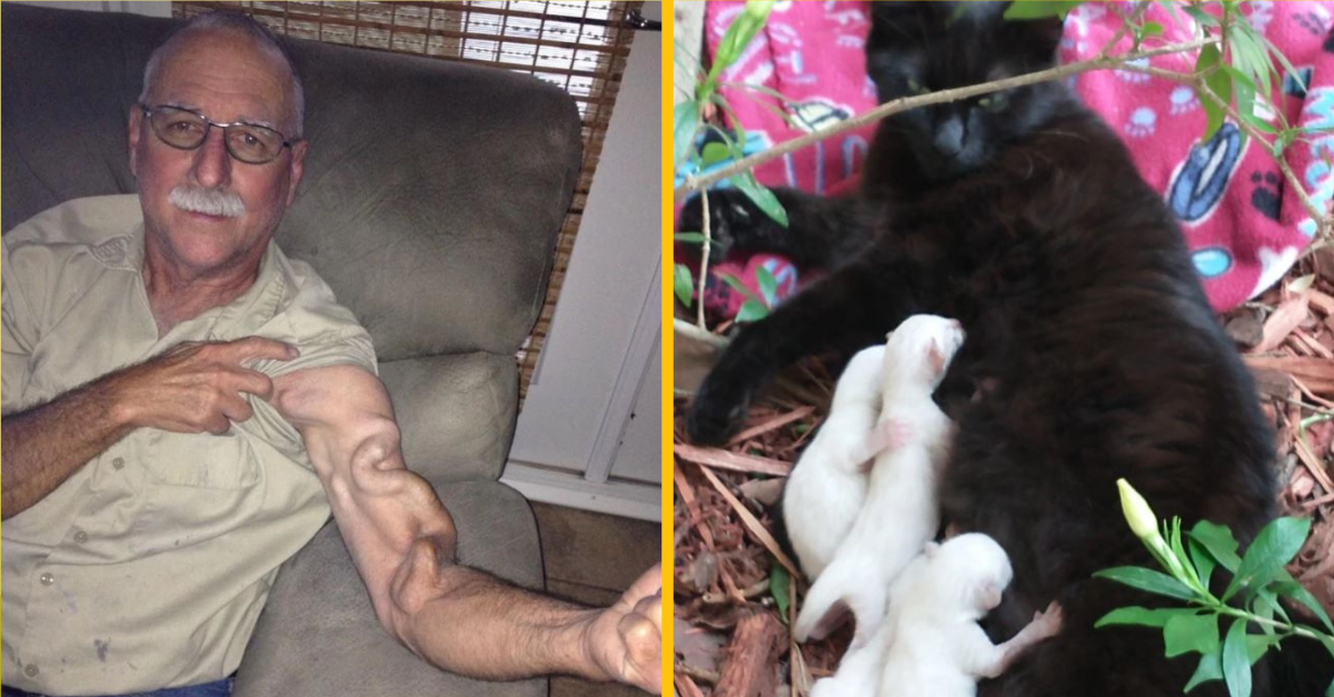 Nezvyčajné fotografie, ktoré vás prinútia spochybniť všetko, čo viete