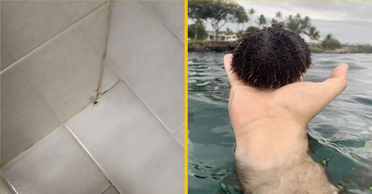 Fotografie, ktoré vás prinútia zapojiť mozog, aby ste im porozumeli