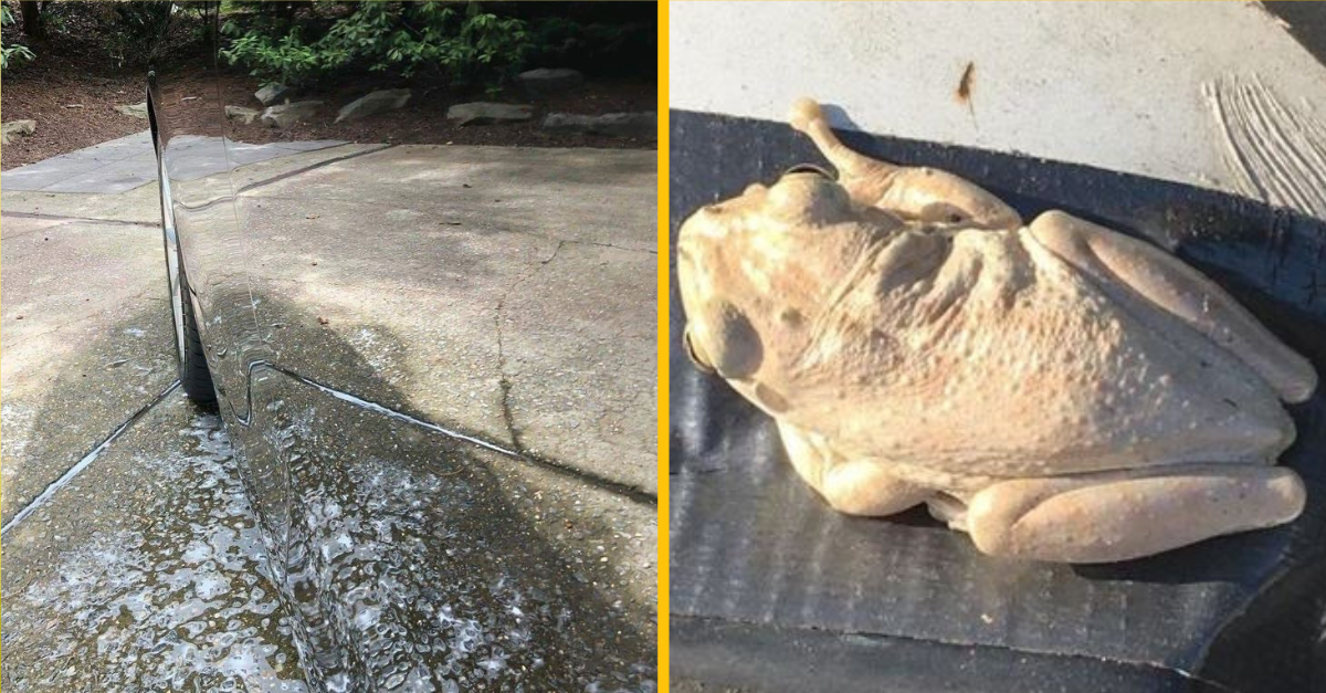 Fotografie, na ktorých uvidíte niečo, čo tam v skutočnosti nie je