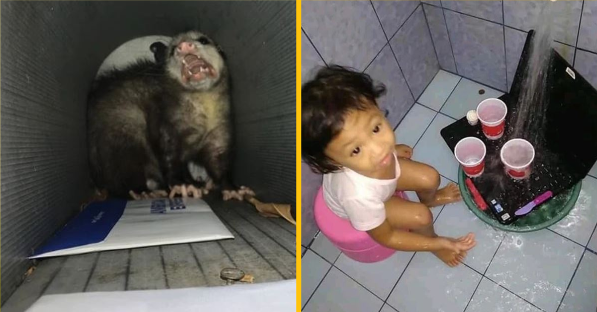 Na týchto ľuďoch sa karma vybúrila v tom najneočakávanejšom okamihu