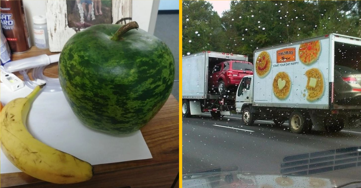 Mätúce fotografie, na ktorých nie je všetko také, ako sa zdá