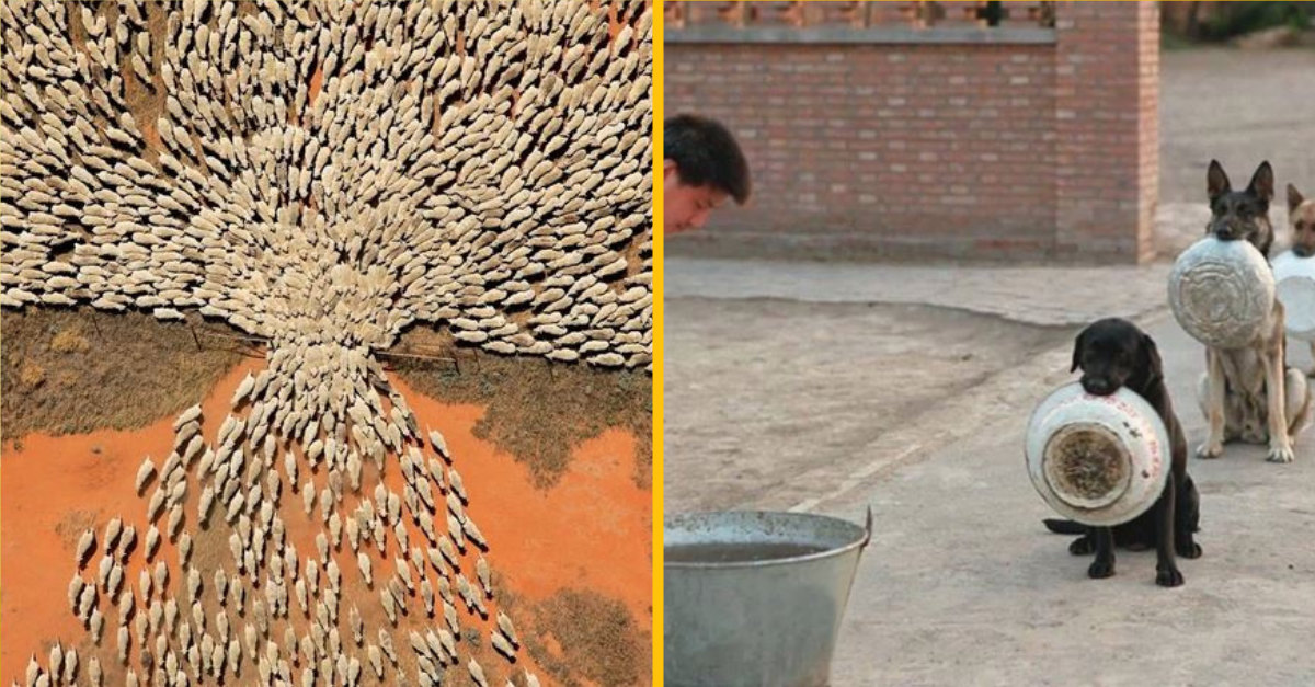 Nezabudnuteľné fotografie, ktoré na vás nepochybne zapôsobia