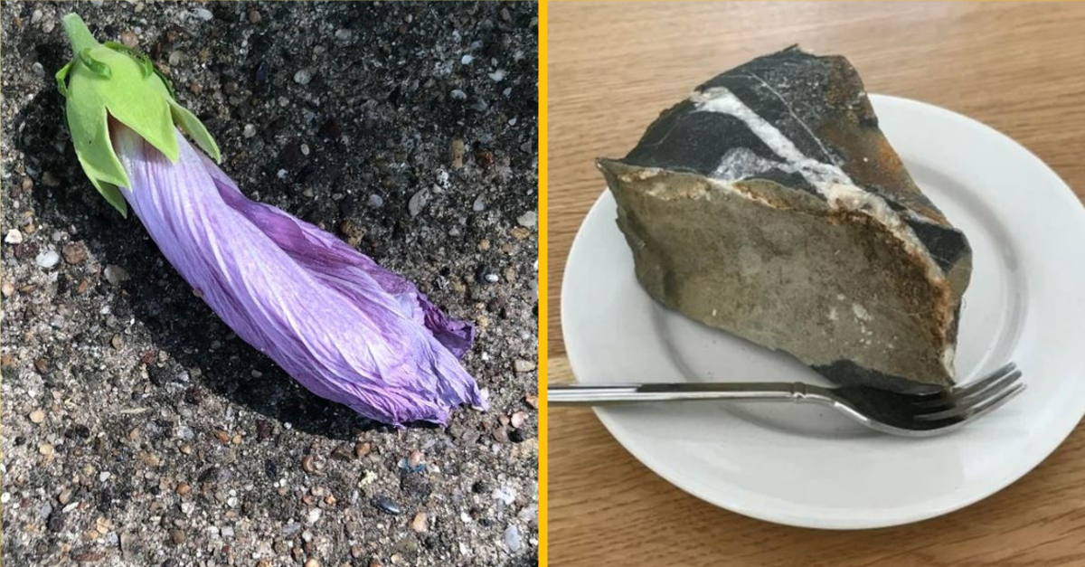 Fotografie, pri ktorých budete pochybovať o všetkom, čo ste kedy videli