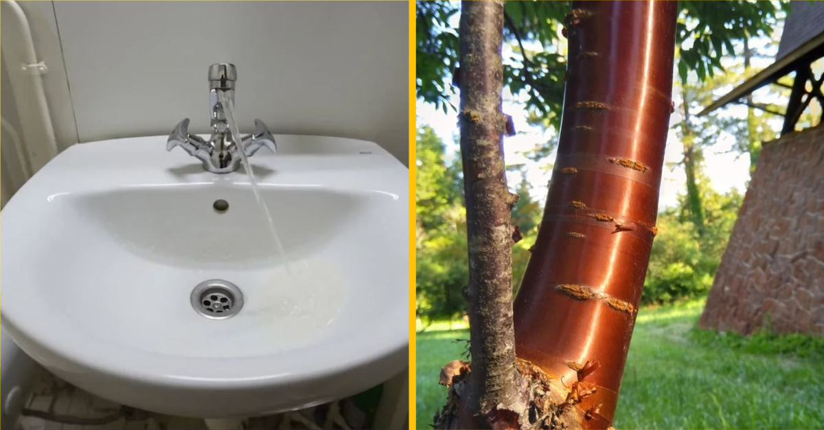 Títo ľudia na prvý pohľad videli niečo iné, ako realitu