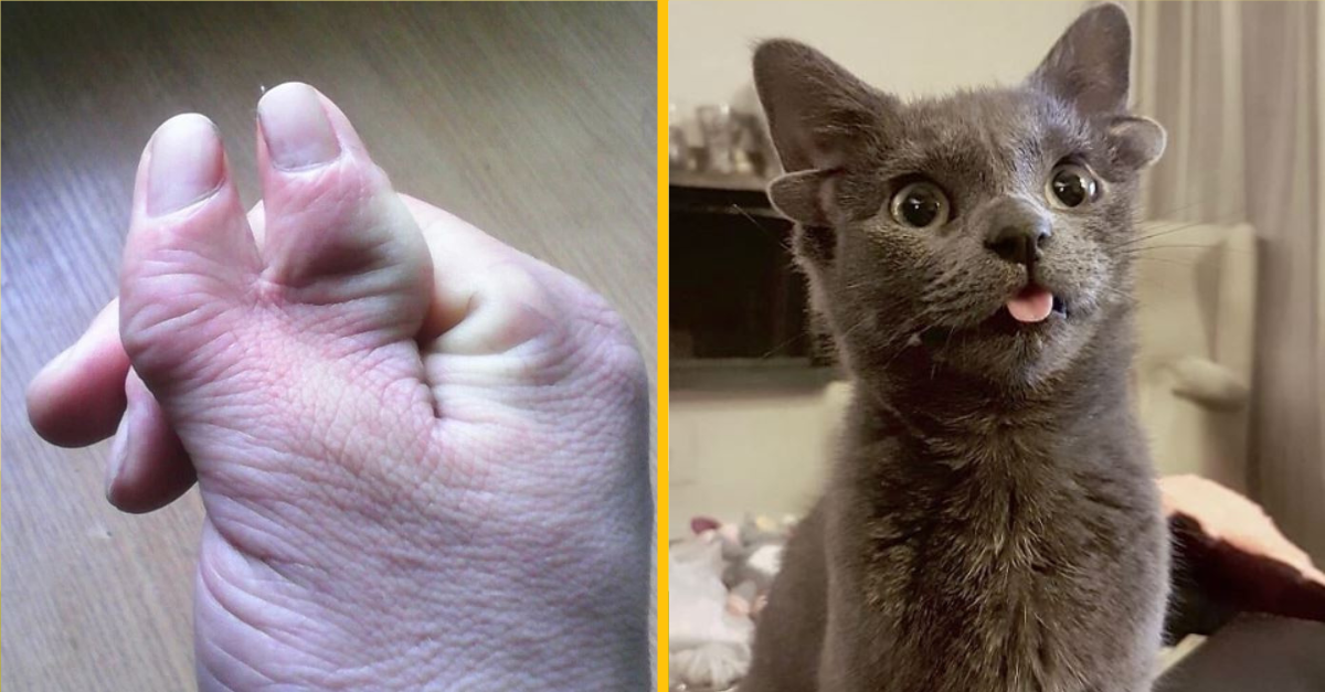 Fotografie, ktoré vás prinútia si povedať, že niečo také ste ešte nevideli