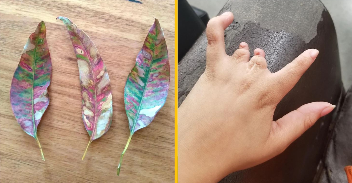 Fotografie záhad, ktoré dokáže vyčarovať iba príroda