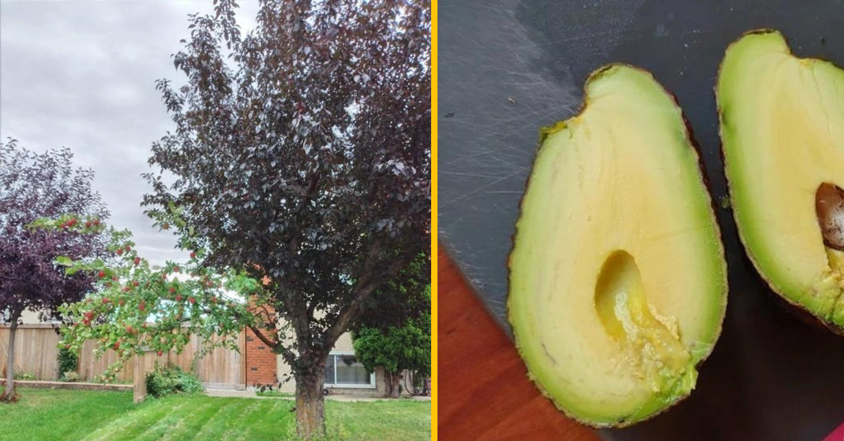 14 náhod, ktoré ľudí prekvapili, ale aj pobavili