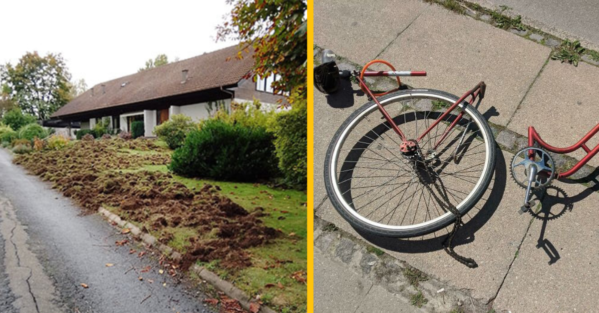 14 najnešťastnejších vecí, s ktorými sa museli ľudia vysporiadať (2. časť)