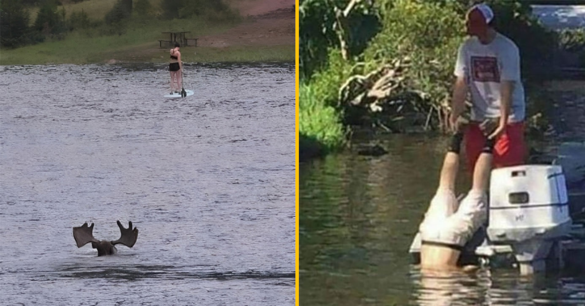 „Toto je možné iba v Kanade.“ 14 memečiek a zábavných vecí z tejto krajiny