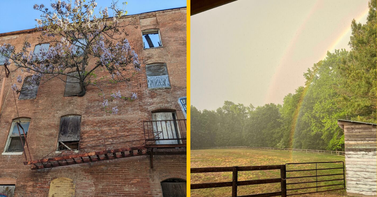 15 vecí, ktoré ste pravdopodobne ešte nikdy nevideli (2. časť)