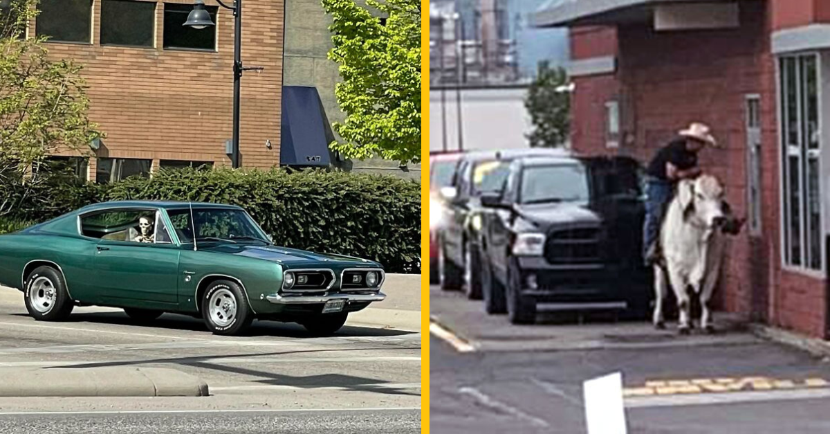 15 kurióznych a zábavných fotografií z ciest #2