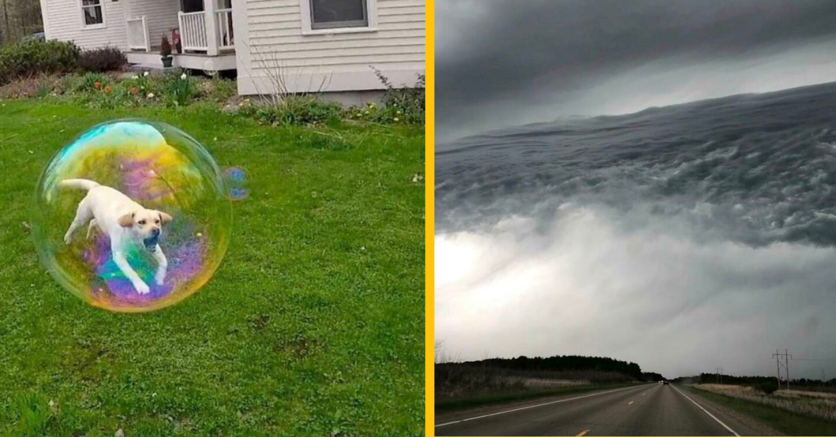 13 mätúcich obrázkov, ktoré si vyžadujú dlhší pohľad #1