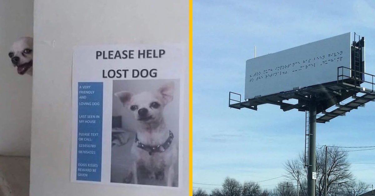 15 fotiek, ktoré zaručene pritiahnu vašu pozornosť