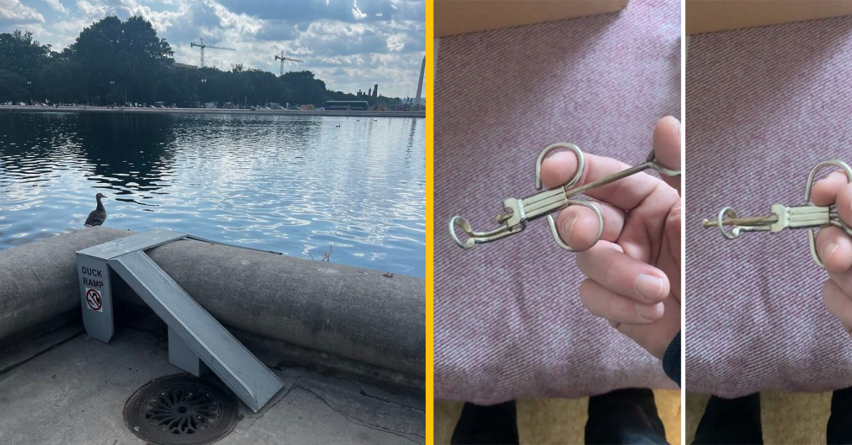 13 nezvyčajných nástrojov, ktoré boli navrhnuté na riešenie problémov