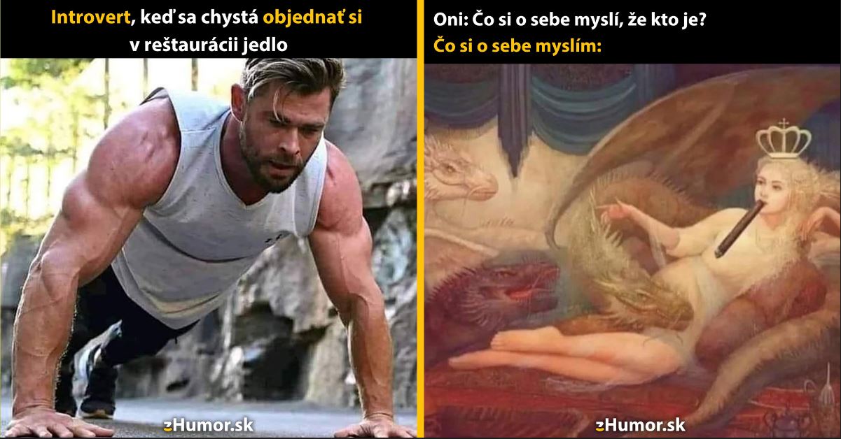Zopár memečiek, ktoré vznikli, aby ti spríjemnili deň #1323: Introverti to poznajú.