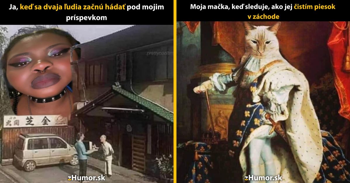 Zopár memečiek, ktoré vznikli, aby ti spríjemnili deň #1328: Idem si spraviť pukance.