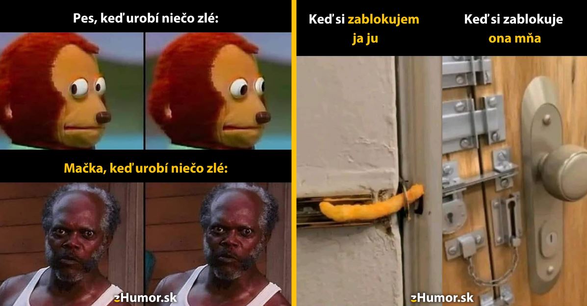 Zopár memečiek, ktoré vznikli, aby ti spríjemnili deň #1319: Nepozeraj na mňa, ľudský sluha.