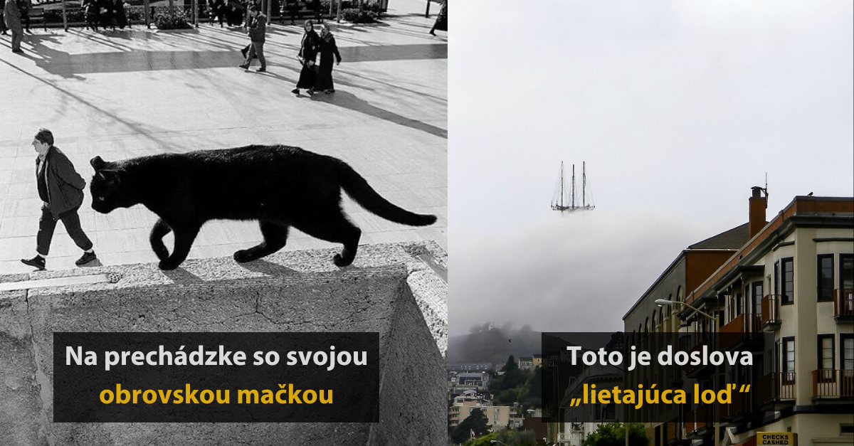 20 mätúcich fotografií, na ktoré sa musíte pozrieť dvakrát #2
