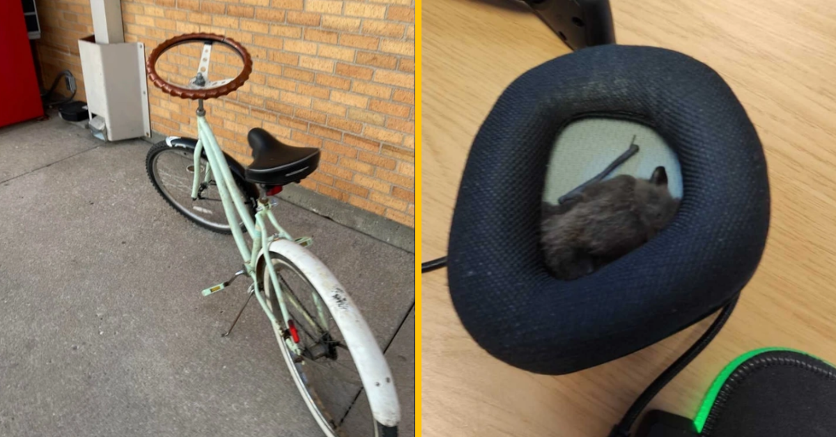 10 fotografií, ktoré ukazujú, že život nie je vždy taký, ako očakávame