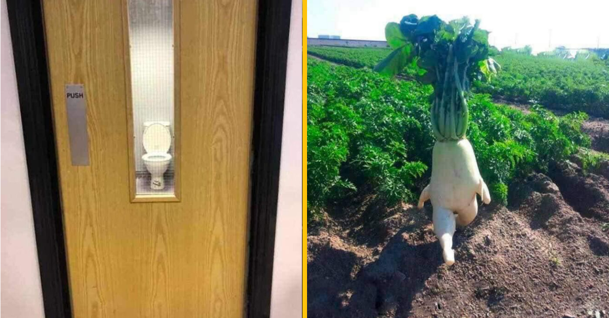 12 zvláštnych fotografií, ktoré vám popletú myseľ