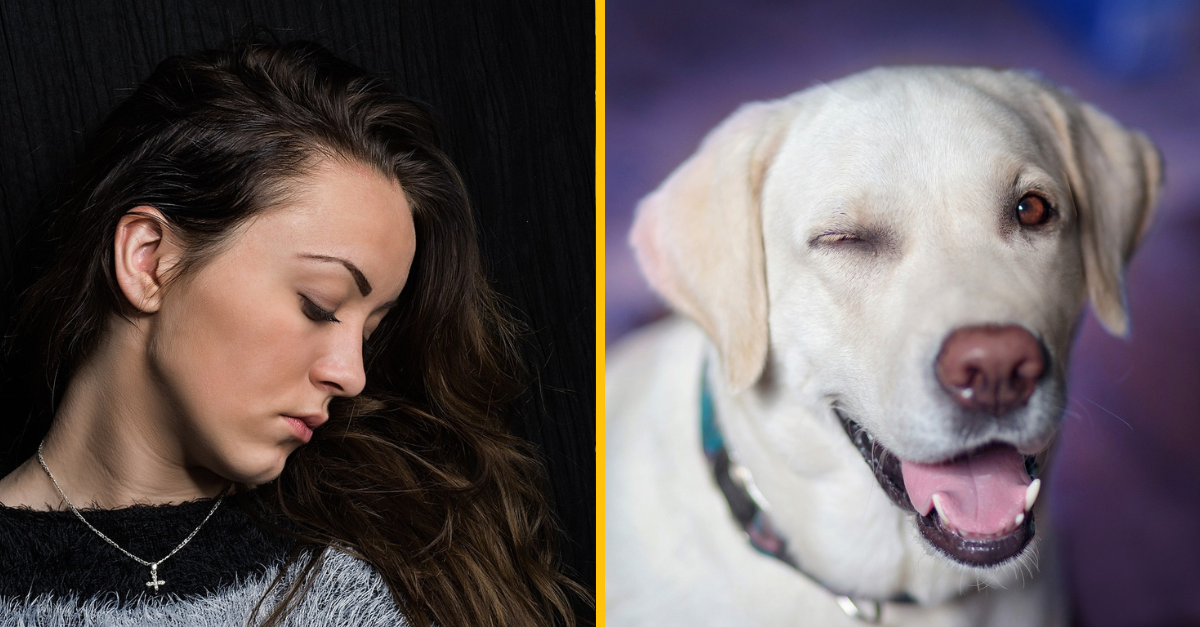 15 vtipných ospravedlnení, ktoré môžete použiť, keď to nemyslíte vážne