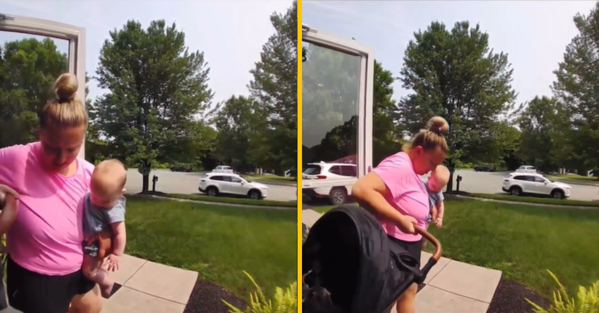 Mačka sa bez povšimnutia vplížila do kočíka. Zábery sa rýchlo stali virálne