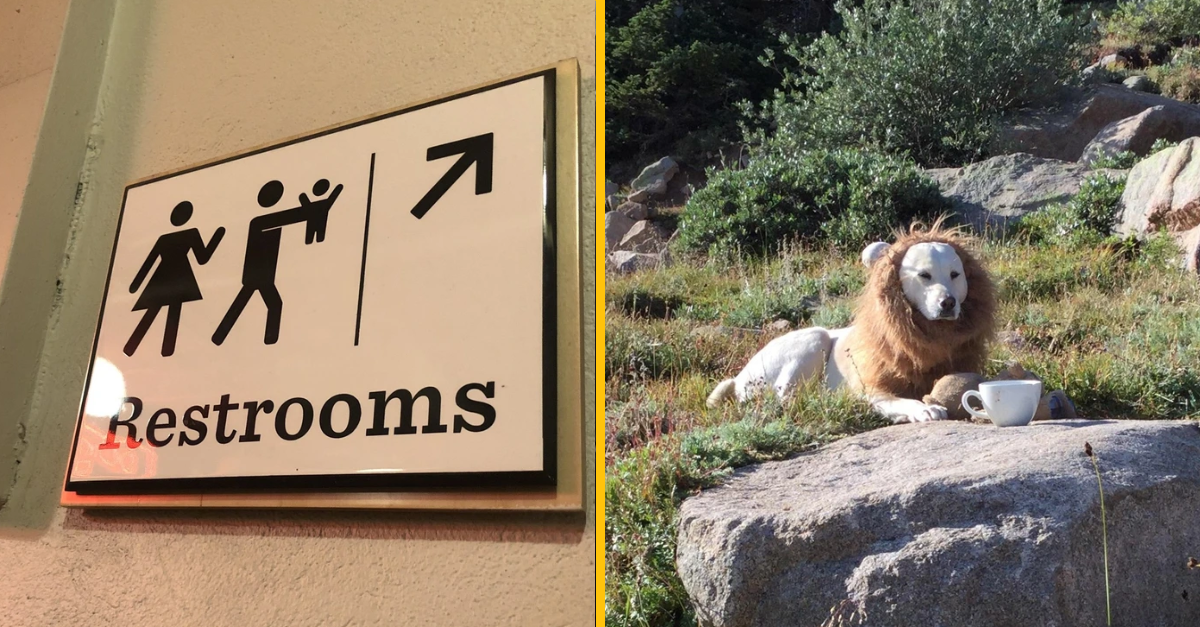 10 komediálnych skvostov, ktoré vás donútia plakať od smiechu