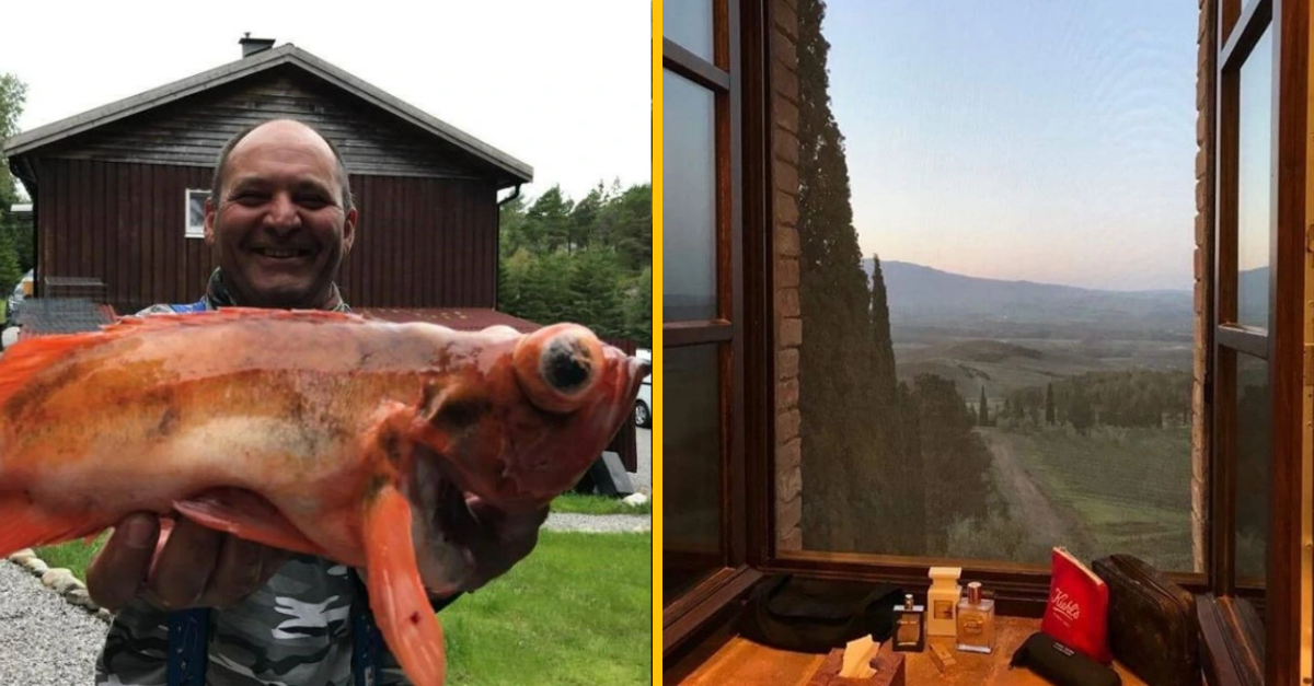 10 fotografií, pri ktorých nebudete veriť vlastným očiam