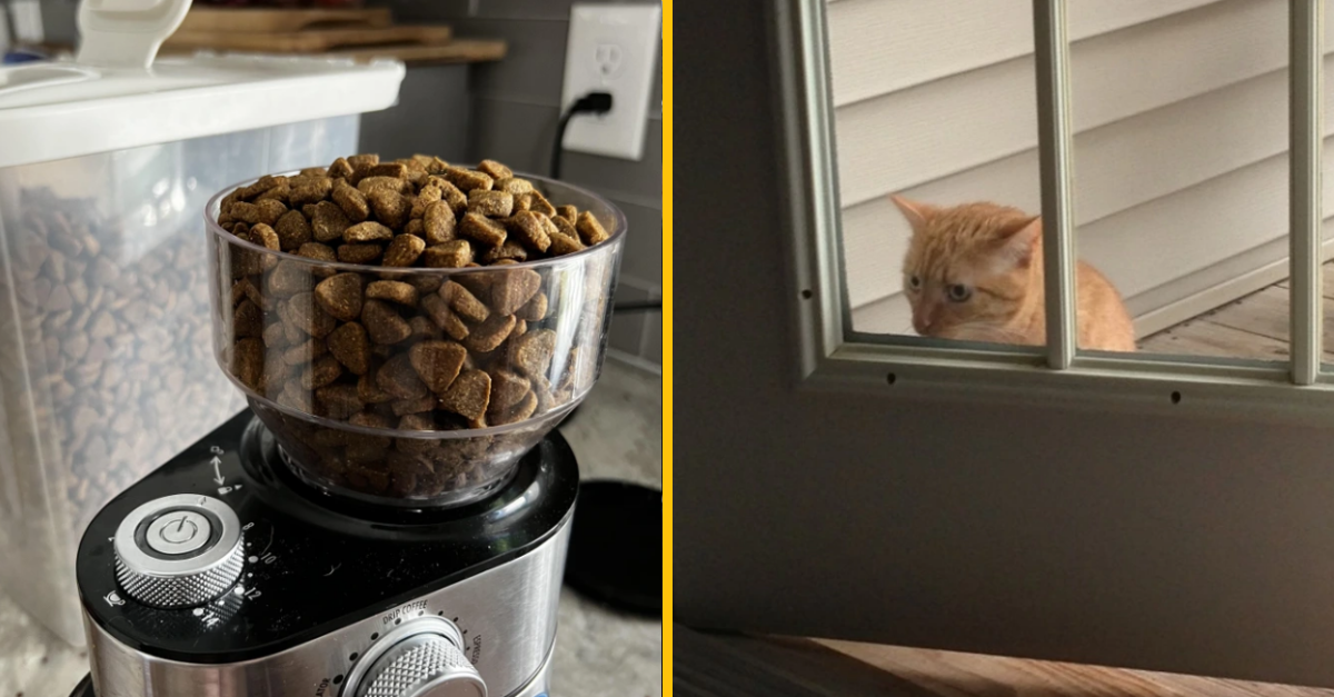 13 fotografií, ktoré dokazujú, že život je komédia