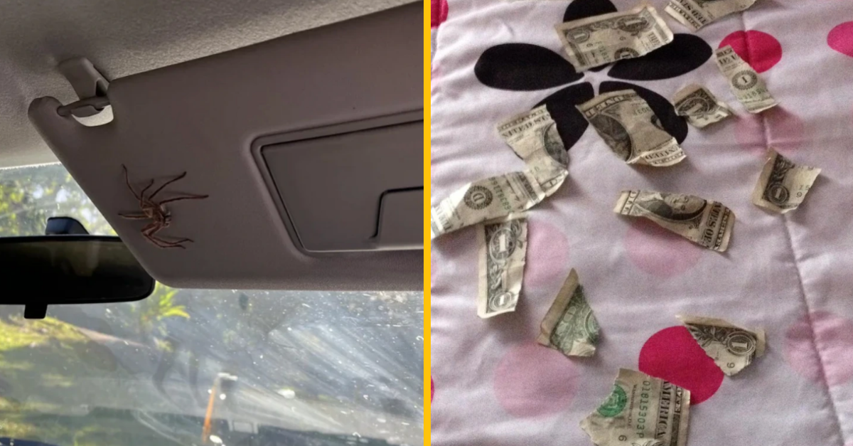 10 fotografií, ktoré perfektne zachytávajú význam slova dráma