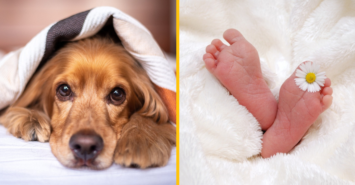 Žena požiadala švagrinú, aby premenovala svojho psa. Jeho meno chce totiž pre svoje bábätko