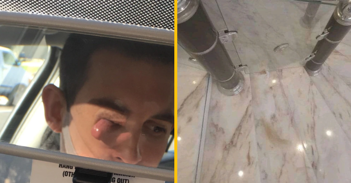 12 fotografií, na ktoré sa budete musieť pozrieť dvakrát