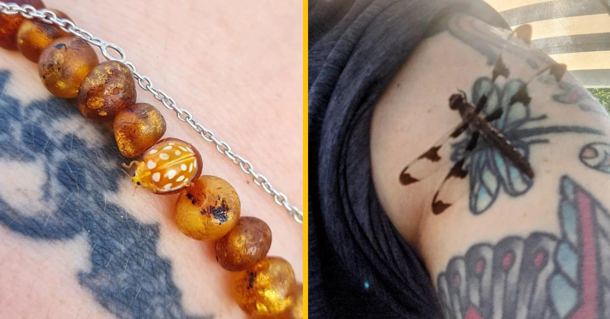 13 ľudí, ktorí nezaváhali a vyfotili tak niečo unikátne