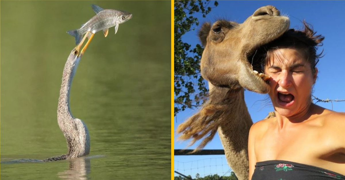 Fotografie zachytené v tej najvhodnejšej sekunde