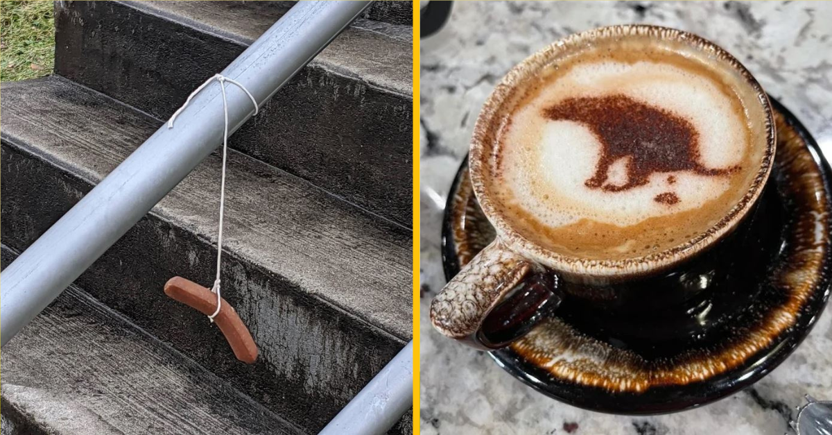 Kuriózne fotografie, nad ktorými sa budete musieť zamyslieť