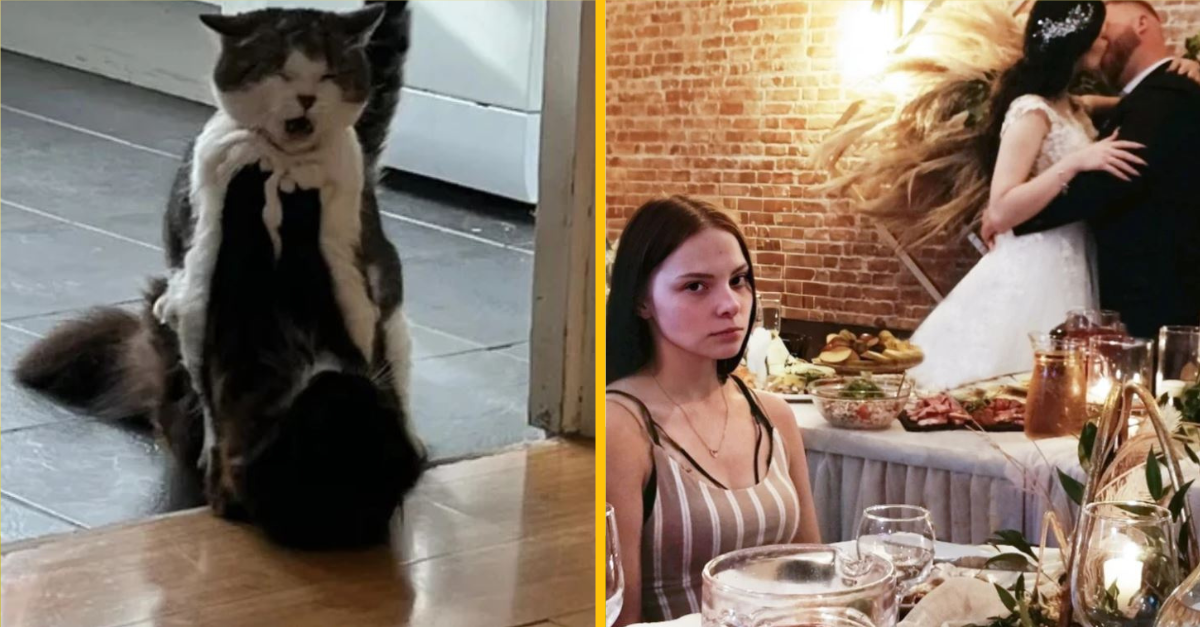 Fotografie, ktoré dokazujú, že aj váš deň sa môže zmeniť na komediálnu show