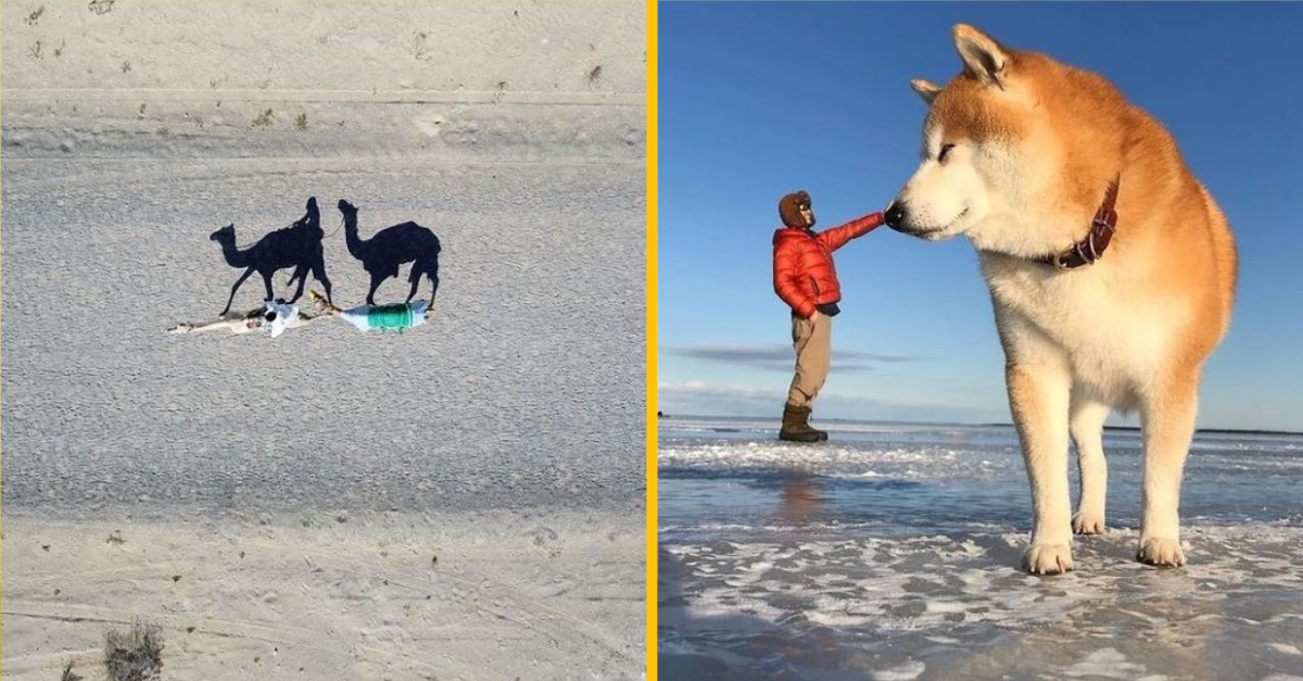 Skvelé fotografie, ktoré dokazujú, že správny uhol robí skvelý záber