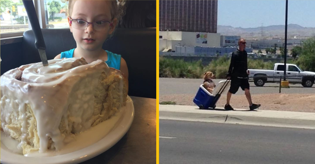 Fotografie, ktorých majitelia si zaslúžia veľký potlesk