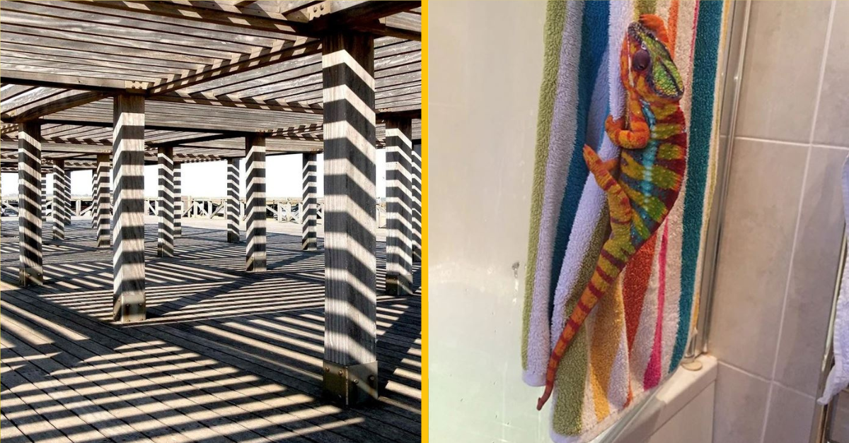 Títo fotografi mali na svoje fotografie také šťastie, že ich zábery hovoria hlasnejšie ako slová