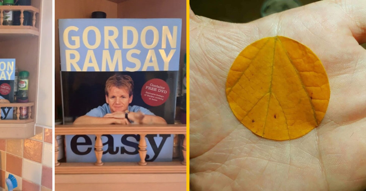 15 krát, kedy náhodné veci do seba perfekne zapadli a výsledok je viac než úžasný #1