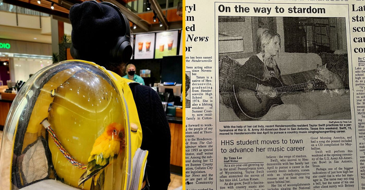 14 ľudí, ktorí vo svojom okolí objavili niečo mimoriadne zaujímavé #2