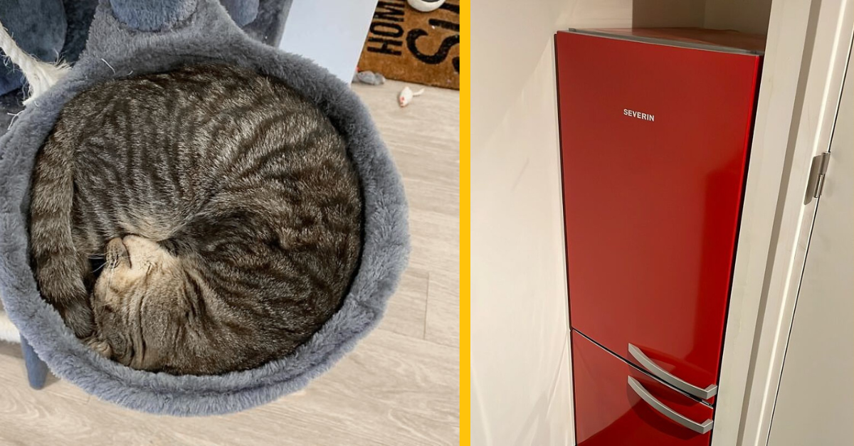 15 krát, kedy náhodné veci do seba perfekne zapadli a výsledok je viac než úžasný #2