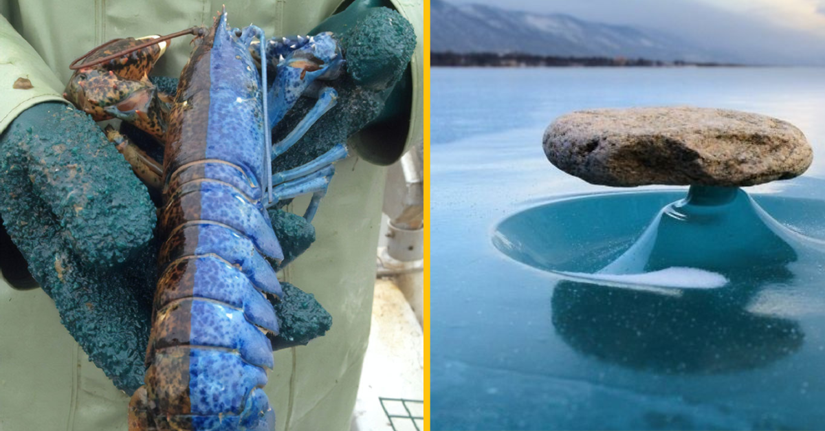 20 fascinujúcich fotiek vecí, ktoré sa dajú vidieť len veľmi zriedkavo #1