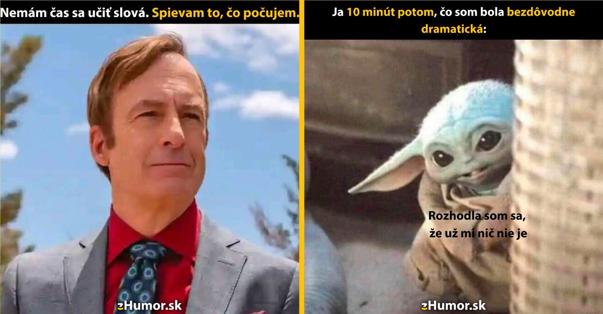 Zopár memečiek, ktoré vznikli, aby ti spríjemnili deň #1333: Nemám čas sa učiť slová.