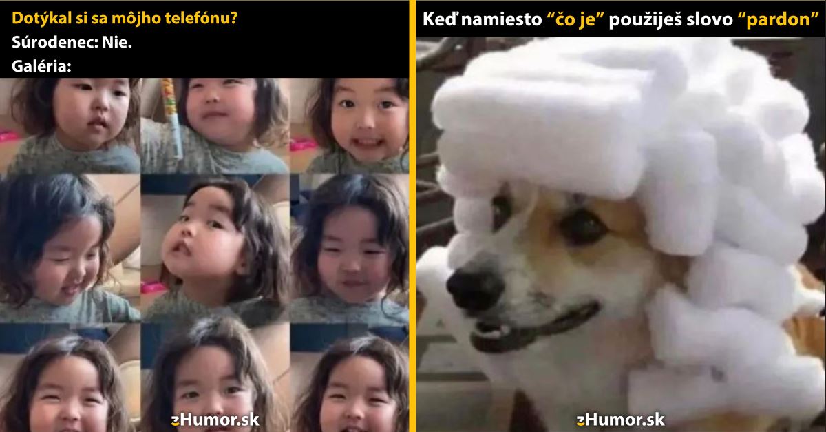 Zopár memečiek, ktoré vznikli, aby ti spríjemnili deň #1337: Život so súrodencom je výzva.