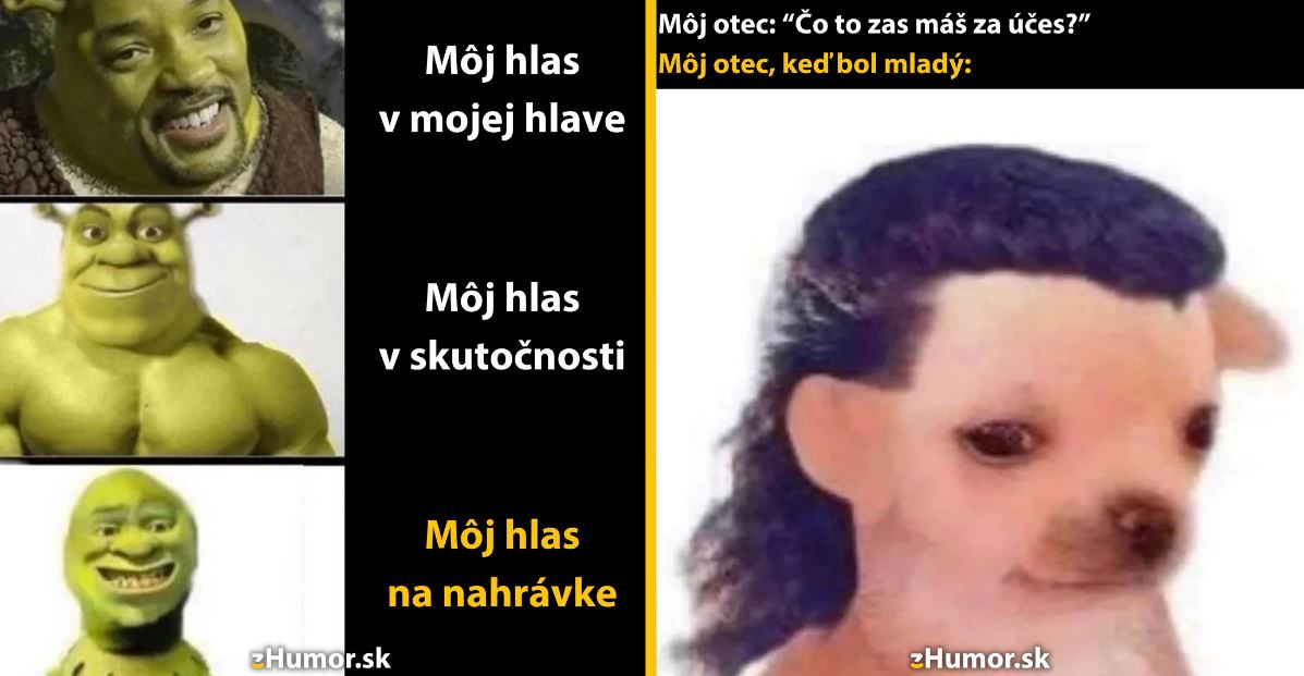 Zopár memečiek, ktoré vznikli, aby ti spríjemnili deň #1339: To som naozaj ja?