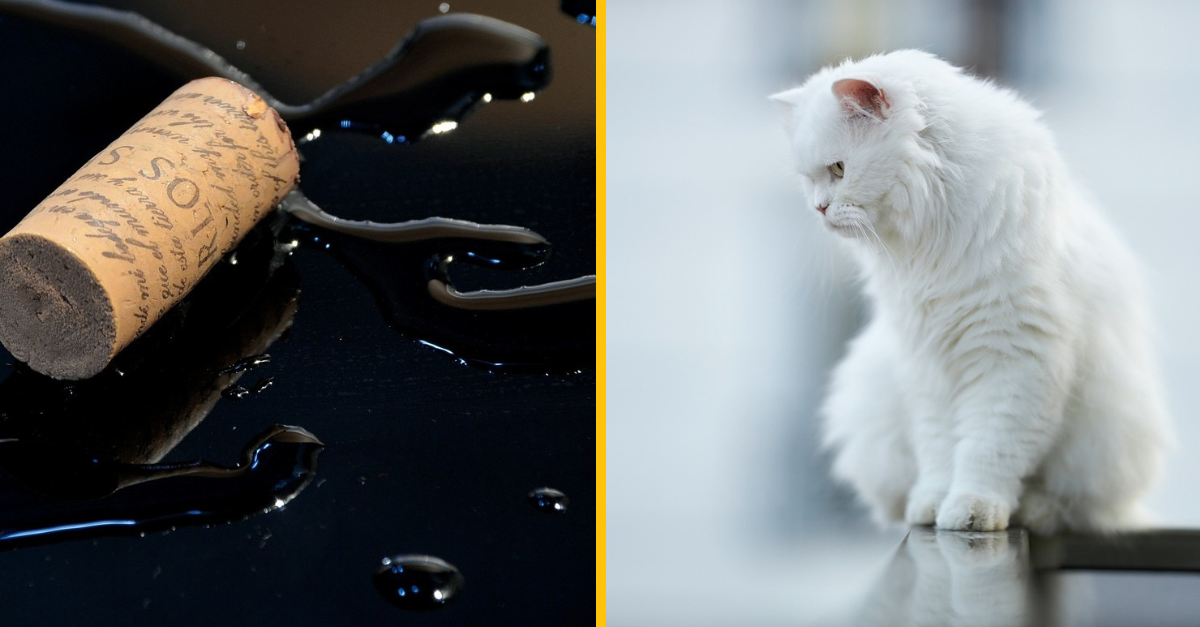 10 najhorších klamstiev, ktoré rodičia povedali svojim deťom